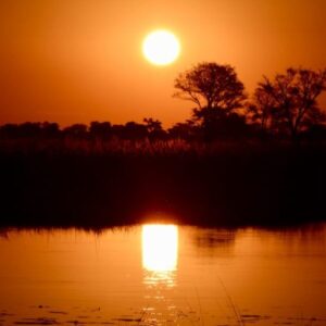 Trilha do deserto de Okavango