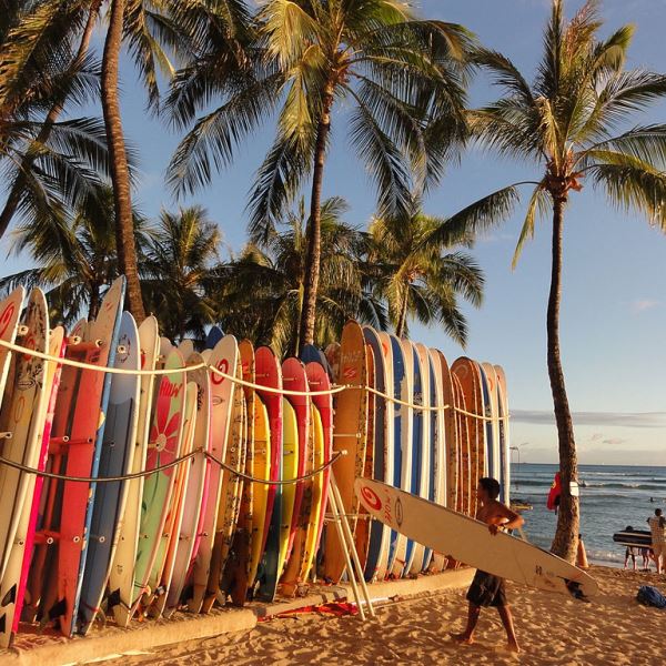 Surf Waikiki