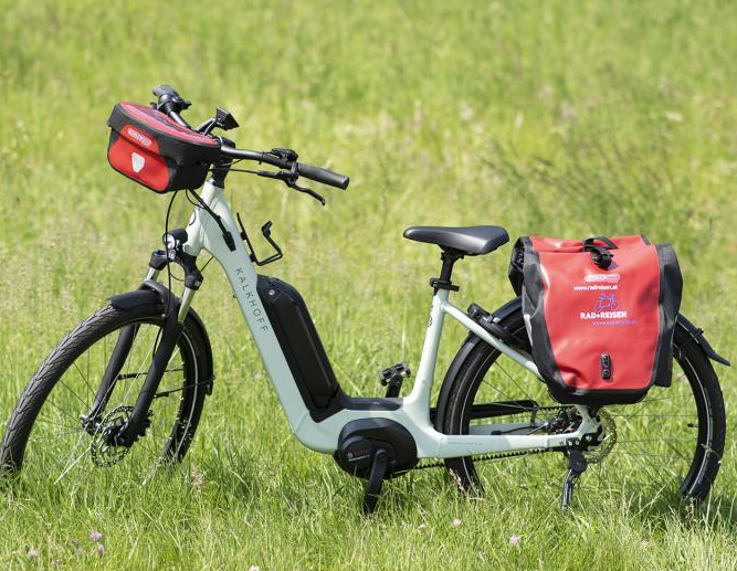 Bicicletas elétricas (pedelecs) UNISSEX