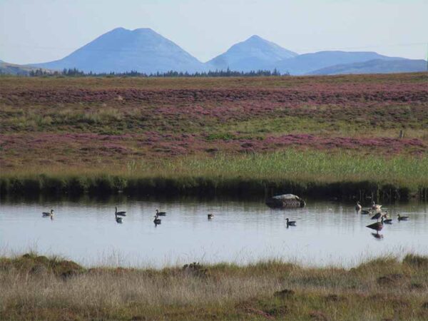 Arran, Islay & Jura - Escócia - 7 dias - Imagem 2