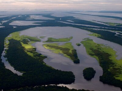 Untamed Amazon