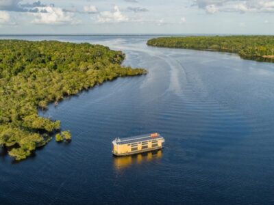 Untamed Amazon