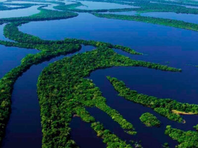 Untamed Amazon